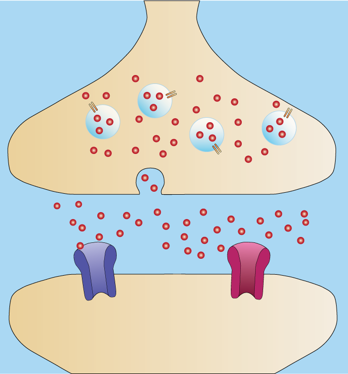 DIY at home Neurotransmitter testing 